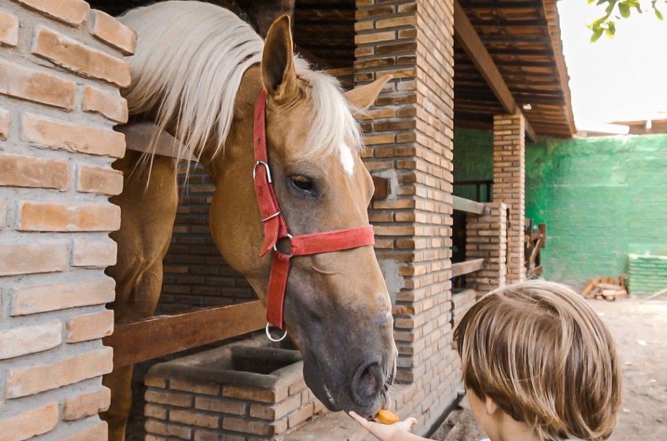 Chácaras da Barra Rancho Luiz Vasconcelos