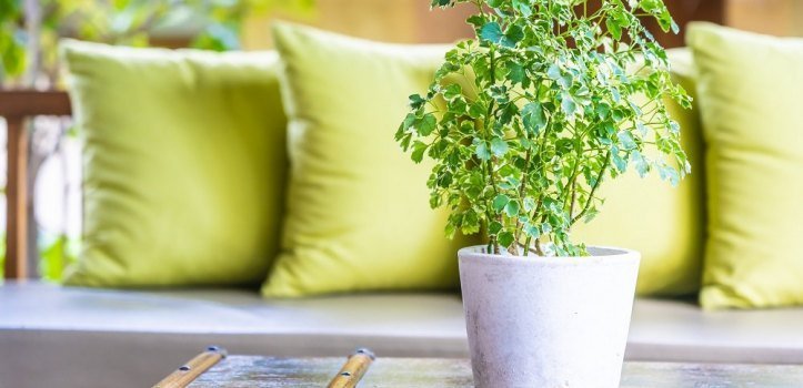 Como decorar varanda: 3 dicas para acertar na decoração desse espaço