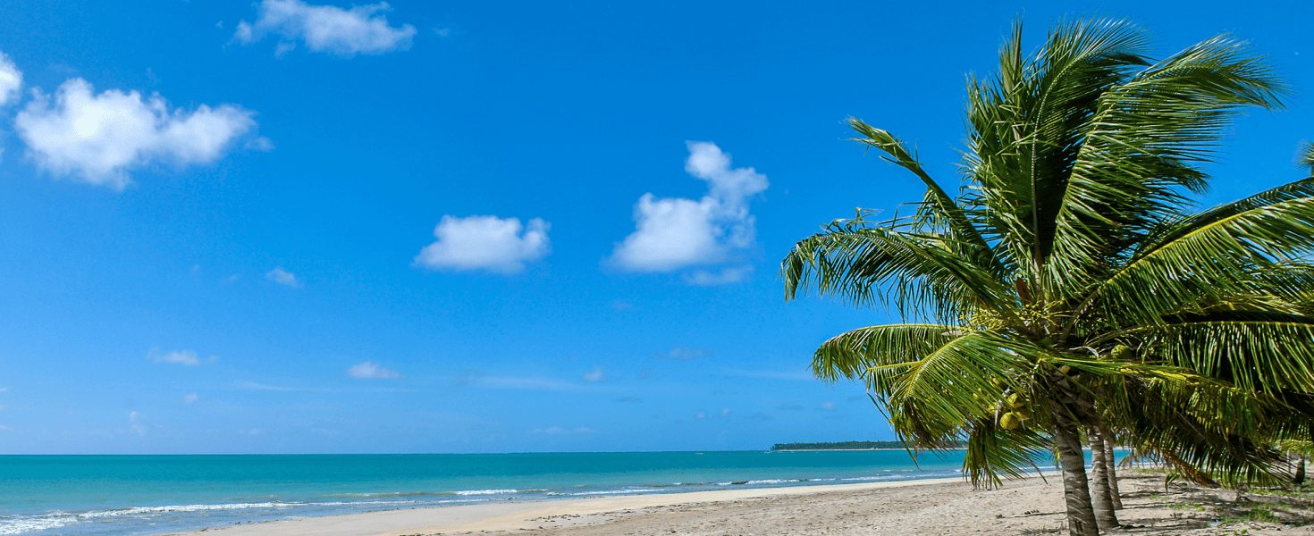 Descubra os encantos de Ipioca, em Maceió