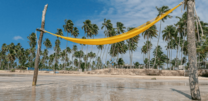 Litoral Norte de Alagoas: Roteiros para você viver o paraíso
