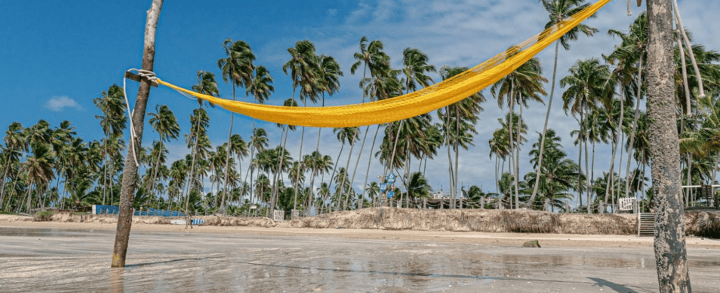 Litoral Norte de Alagoas: Roteiros para você viver o paraíso