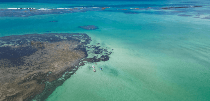 Tábua de maré em Ipioca: guia prático para aproveitar melhor a praia